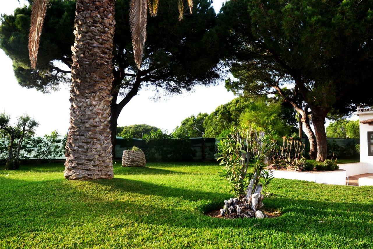 Sailing Studio Acoteias Albufeira Zewnętrze zdjęcie