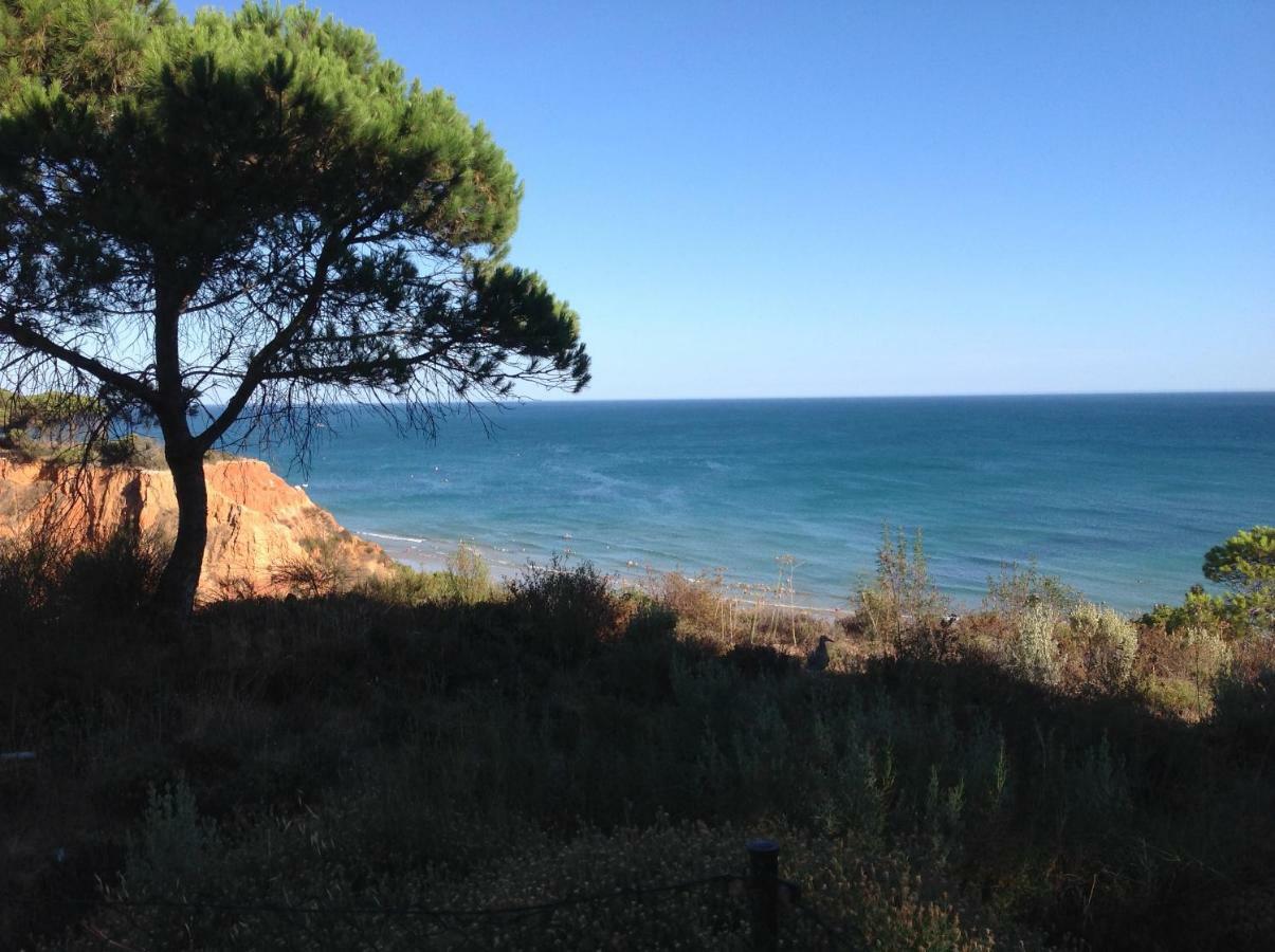 Sailing Studio Acoteias Albufeira Zewnętrze zdjęcie